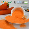 Baby Karottenkonzentrat Pulver Bulk