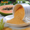 Papaya-Fruchtextraktpulver für Fleisch