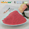 Pink Dragon Fruit Extract Powder für medizinische Zwecke